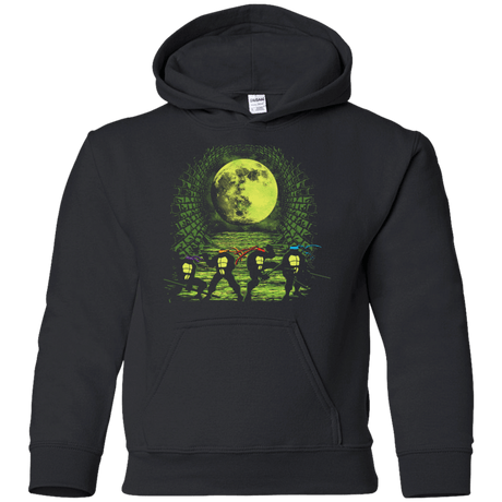 Sweatshirts Black / YS Sewer Fighters Youth Hoodie