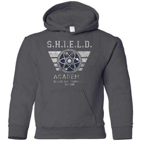 Sweatshirts Charcoal / YS Shield Academy Youth Hoodie