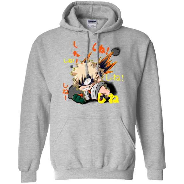 Sweatshirts Sport Grey / Small Shine Pullover Hoodie