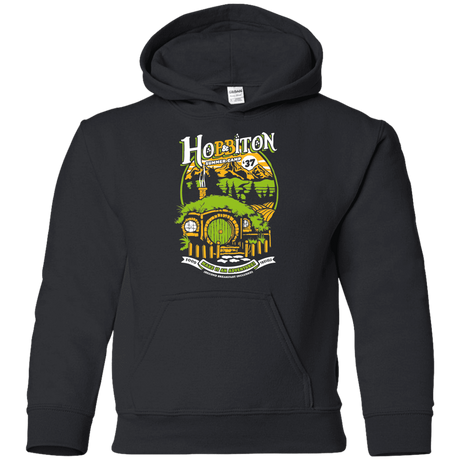 Sweatshirts Black / YS Shire Summer Camp Youth Hoodie