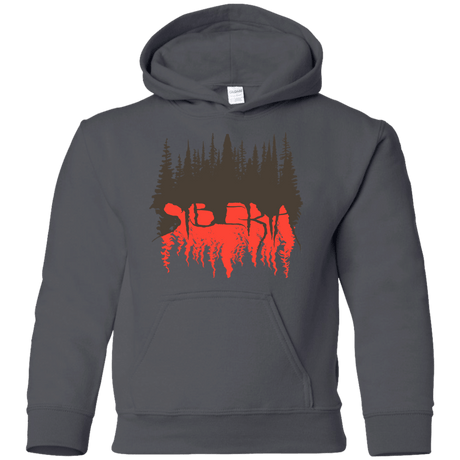 Sweatshirts Charcoal / YS Siberia Wilderness Youth Hoodie