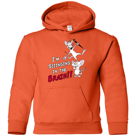 Sweatshirts Orange / YS Singing In The Brain Youth Hoodie
