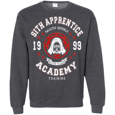 Sweatshirts Dark Heather / Small Sith Appretince Academy 99 Crewneck Sweatshirt