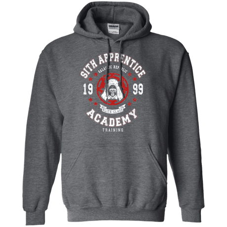 Sweatshirts Dark Heather / Small Sith Appretince Academy 99 Pullover Hoodie