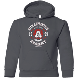 Sweatshirts Charcoal / YS Sith Appretince Academy 99 Youth Hoodie