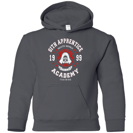 Sweatshirts Charcoal / YS Sith Appretince Academy 99 Youth Hoodie