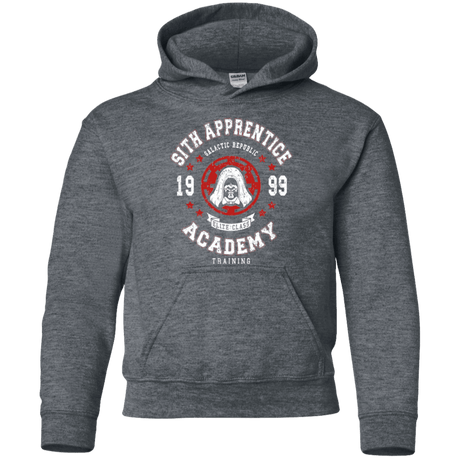 Sweatshirts Dark Heather / YS Sith Appretince Academy 99 Youth Hoodie