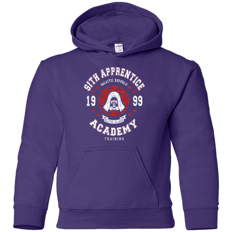 Sweatshirts Purple / YS Sith Appretince Academy 99 Youth Hoodie