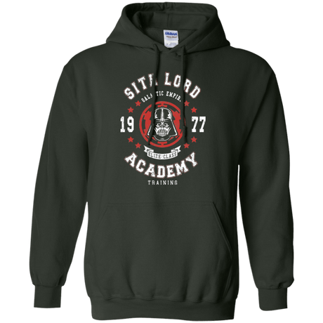 Sweatshirts Forest Green / Small Sith Lord Academy 77 Pullover Hoodie