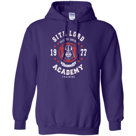 Sweatshirts Purple / Small Sith Lord Academy 77 Pullover Hoodie