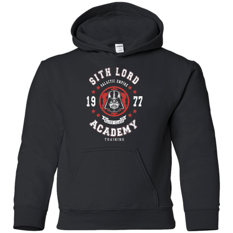 Sweatshirts Black / YS Sith Lord Academy 77 Youth Hoodie