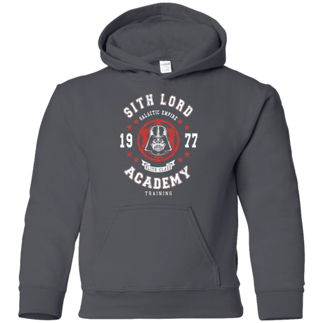 Sweatshirts Charcoal / YS Sith Lord Academy 77 Youth Hoodie