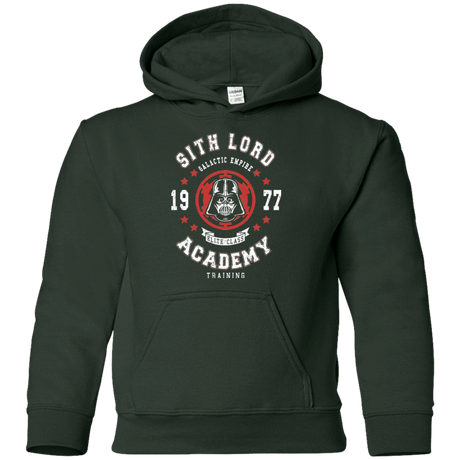 Sweatshirts Forest Green / YS Sith Lord Academy 77 Youth Hoodie
