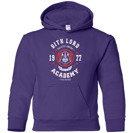 Sweatshirts Purple / YS Sith Lord Academy 77 Youth Hoodie