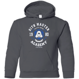 Sweatshirts Charcoal / YS Sith Master Academy 80 Youth Hoodie