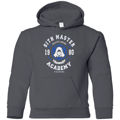 Sweatshirts Charcoal / YS Sith Master Academy 80 Youth Hoodie