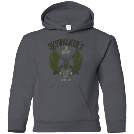 Sweatshirts Charcoal / YS Skywalker's Jedi Academy Youth Hoodie