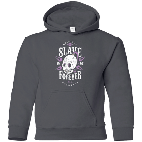 Sweatshirts Charcoal / YS Slave Forever Youth Hoodie