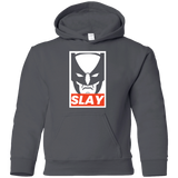 Sweatshirts Charcoal / YS SLAY Youth Hoodie