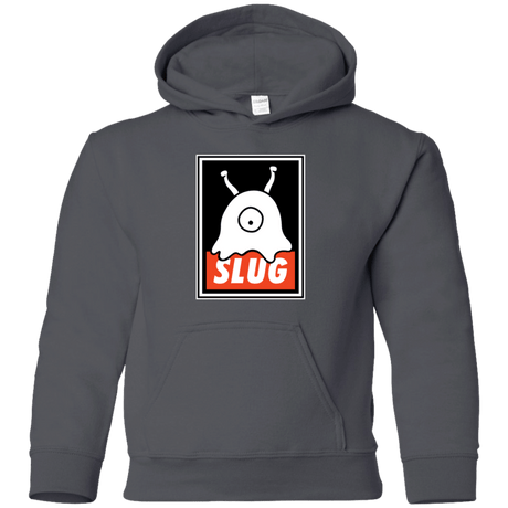 Sweatshirts Charcoal / YS Slug Youth Hoodie