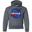 Sweatshirts Dark Heather / YS SNASA Youth Hoodie