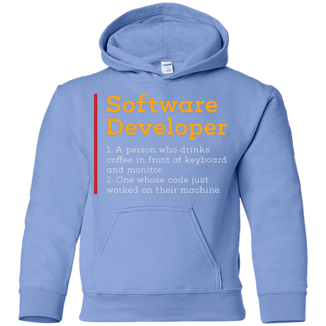 Sweatshirts Carolina Blue / YS Software Developer Youth Hoodie