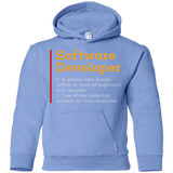 Sweatshirts Carolina Blue / YS Software Developer Youth Hoodie