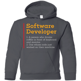 Sweatshirts Charcoal / YS Software Developer Youth Hoodie