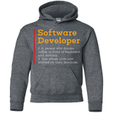 Sweatshirts Dark Heather / YS Software Developer Youth Hoodie