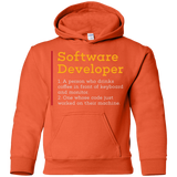 Sweatshirts Orange / YS Software Developer Youth Hoodie