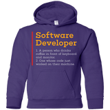Sweatshirts Purple / YS Software Developer Youth Hoodie