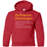 Sweatshirts Red / YS Software Developer Youth Hoodie