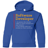 Sweatshirts Royal / YS Software Developer Youth Hoodie