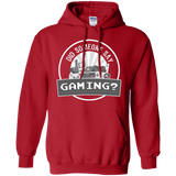 Sweatshirts Red / Small Someone Say Gaming Pullover Hoodie