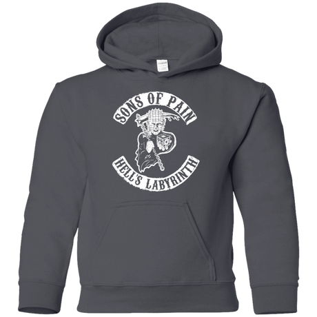 Sweatshirts Charcoal / YS Sons of Pain Youth Hoodie