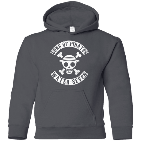 Sweatshirts Charcoal / YS Sons of Pirates Youth Hoodie