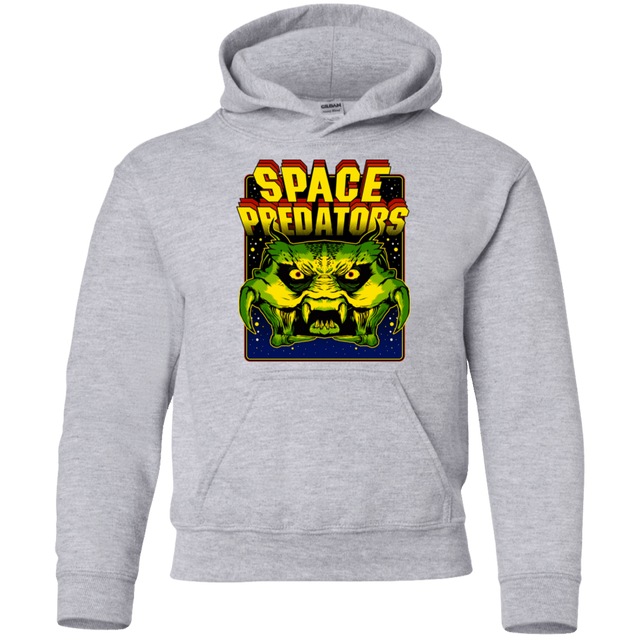 Sweatshirts Sport Grey / YS Space Predator Youth Hoodie