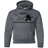 Sweatshirts Dark Heather / YS Special Level of Hell Youth Hoodie