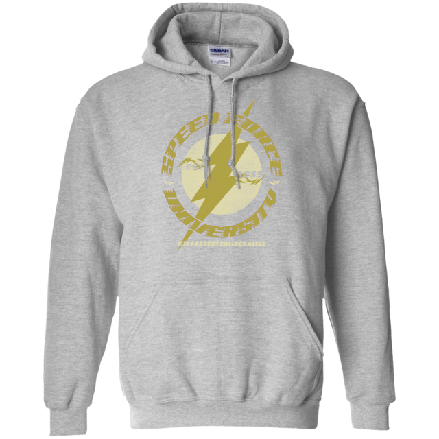 Sweatshirts Sport Grey / Small Speed Force University Pullover Hoodie