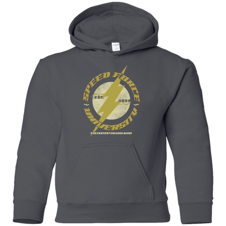 Sweatshirts Charcoal / YS Speed Force University Youth Hoodie