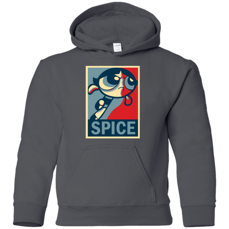 Sweatshirts Charcoal / YS Spice Powerpuff Youth Hoodie