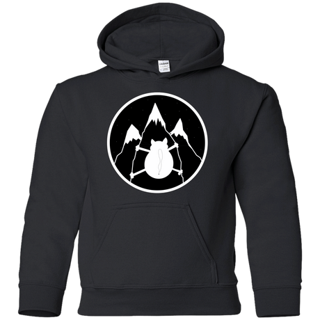 Sweatshirts Black / YS Spider Cat Youth Hoodie