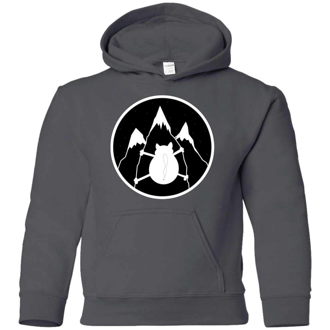 Sweatshirts Charcoal / YS Spider Cat Youth Hoodie