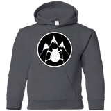 Sweatshirts Charcoal / YS Spider Cat Youth Hoodie