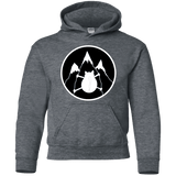 Sweatshirts Dark Heather / YS Spider Cat Youth Hoodie