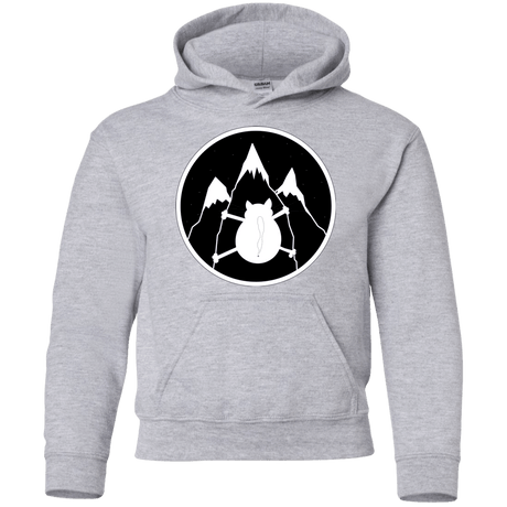 Sweatshirts Sport Grey / YS Spider Cat Youth Hoodie