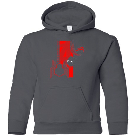 Sweatshirts Charcoal / YS Spiderman Profile Youth Hoodie