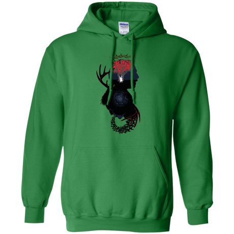 Sweatshirts Irish Green / Small Spiral Detective Pullover Hoodie