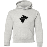 Sweatshirts Ash / YS Splinter is Coming Youth Hoodie
