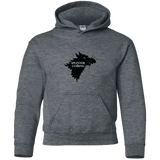 Sweatshirts Dark Heather / YS Splinter is Coming Youth Hoodie